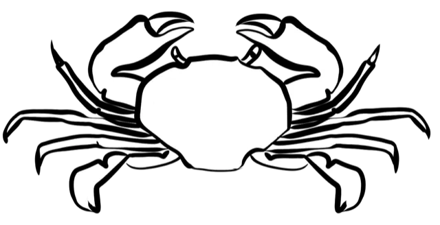 Black and white drawing of a crab with outstretched claws and detailed legs on a plain background.