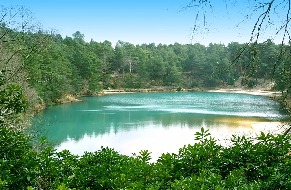 A serene turquoise lake is surrounded by lush green foliage and dense forest under a clear blue sky, offering a picture-perfect vista that even a superyacht captain would envy.