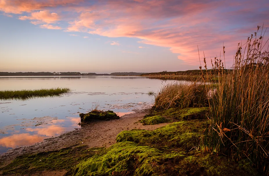 A serene lake at sunset with a reflection of pink clouds in the water, surrounded by lush greenery and reeds on the shore, evokes the tranquil scenes often cherished by a superyacht captain after a day at sea.