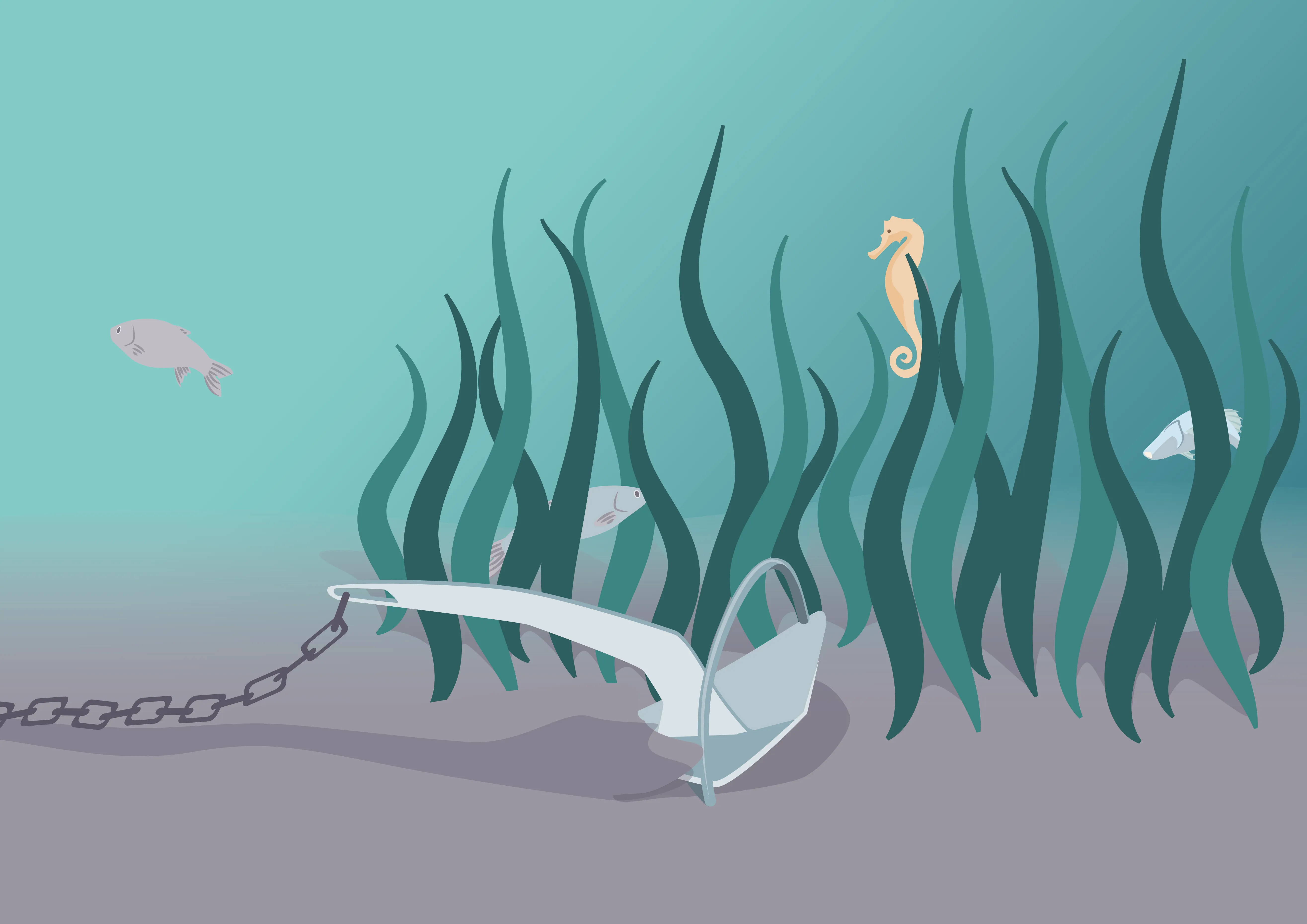 Underwater scene with an anchor, seagrass, fish, a seahorse, and a shell on the seabed.